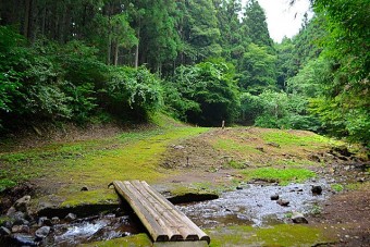 大自然に囲まれたキャンプ場内