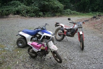 レンタルバイクとバギー。