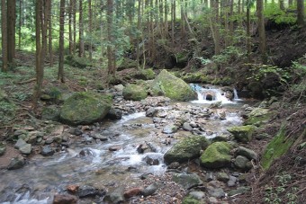 近くの小川。水量の増加には気をつけて。