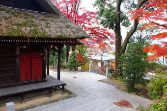 歴史的建造物と紅葉のコラボが味わい深い