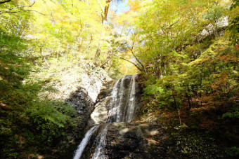 秋口は水量が少なく、穏やかな大仙の滝