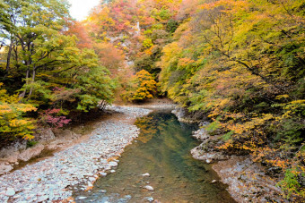 エメラルドグリーンの水面に映る紅葉