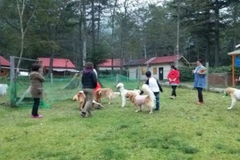 愛犬家にはたまらない環境。予約時に同伴許可を得よう。