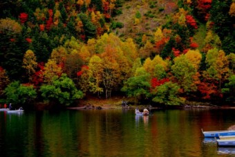 菅沼の紅葉時期は一足早く訪れる。