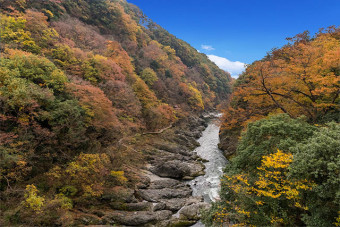 秋の高津戸峡