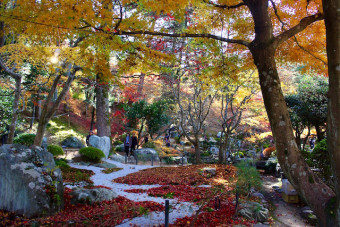 しっかりと整備された美しい日本庭園