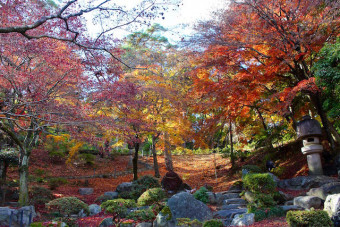 秋の徳明園