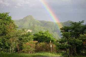 こんな奇跡的な光景に出合いたい（雨坊主山）。