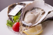 数量限定!特大牡蠣をご用意!!