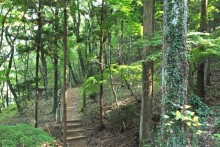 吾妻公から水道山へ向かう散策路