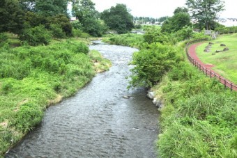 ときめき橋からの粕川の眺め