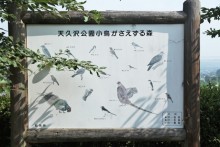 野鳥観察案内板