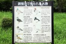 野鳥案内板