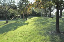 春は桜がきれい