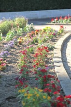 噴水周りの花壇