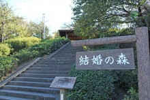 築山