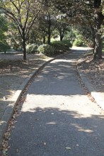 なだらかな坂道の築山散策路