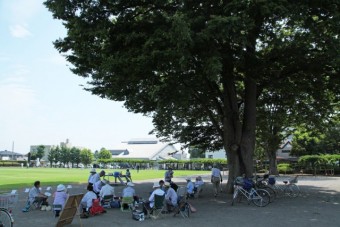 大木が大きな日陰を作ってくれています