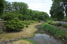 粕川親水ゾーン