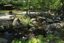 遊具わきを流れる小川には水辺の生き物も