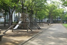 木立の下に配置される遊具