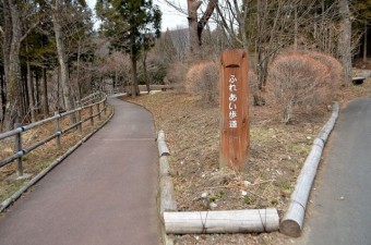 ふれあい歩道