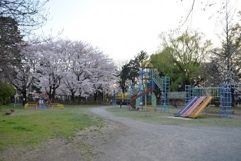 城之内公園の遊具