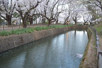 公園内のお堀に流れる川