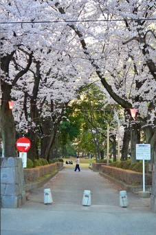 城之内公園入口