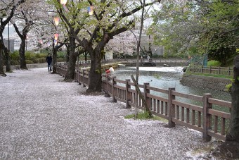 お堀沿いの遊歩道