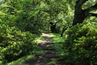 土塁遊歩道