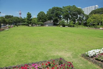 高崎市役所前の芝生広場.