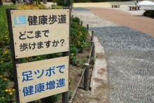 健康歩道「足踏みの道」