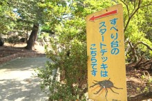 山を登ってスタート地点へ