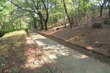 公園内小山の散策路