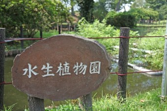 水生植物園