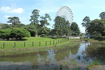 水生植物園から見る観覧車