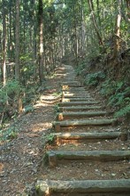 長く急な階段を登ってノスリの丘へ向かう