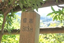 高313m