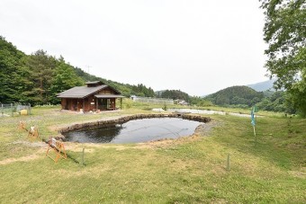 釣り堀池