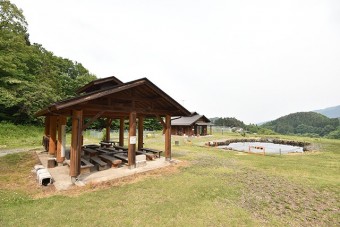緑豊かな公園