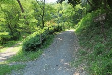 庚申山山頂へつづく道