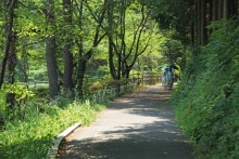 庚申山山頂へつづく散策路