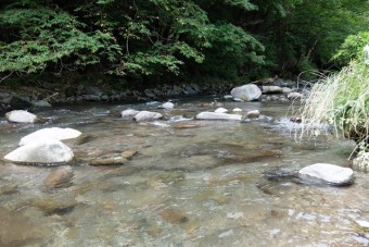 近くに流れる相間川