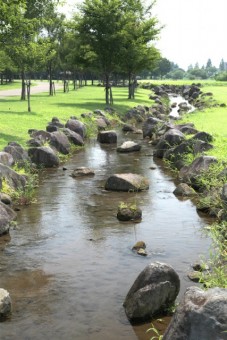 渓流の流れ