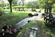 日影と水辺が人気の秘密