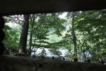野鳥観察小屋から大堤沼を見る