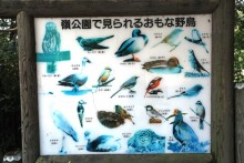 野鳥案内板