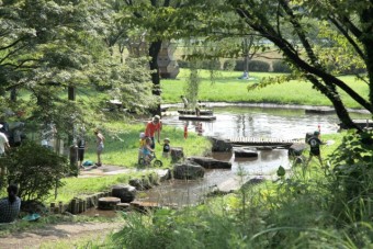 夏は連日家族連れでにぎわう