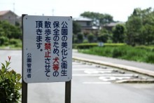 動物散歩禁止